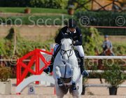 CHIAUDANI AMERICAN BLUE CampITA2013- S5 9083 : AMERICAN BLUE VAN EEKLELCHEM, CHIAUDANI NATALE, Campionati Italiani 2013, Cattolica, Horse Riviera Resort, foto di Stefano Secchi ©